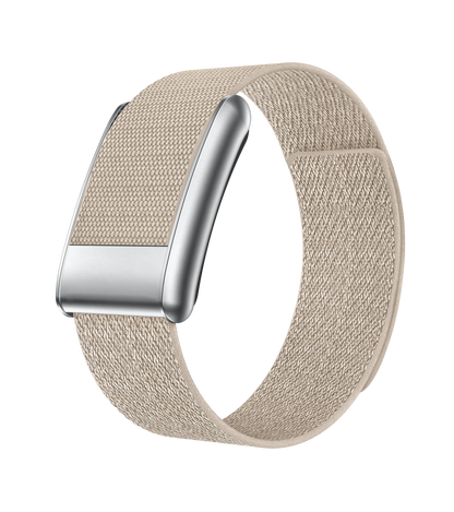 Mecorly Loop