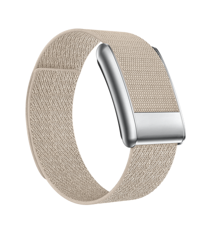 Mecorly Loop